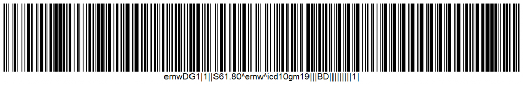 Figure 1: HL7 v2.x injection payload