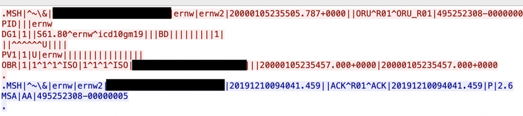 Figure 2: HL7 v2.x message containing the injected payload (the first line shortened).