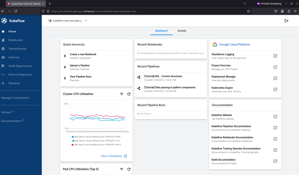 Owned Kubeflow Instance