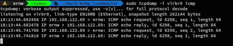 Incoming ICMP Packets